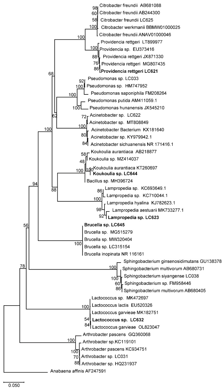 Figure 5