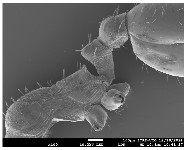 Figure 6