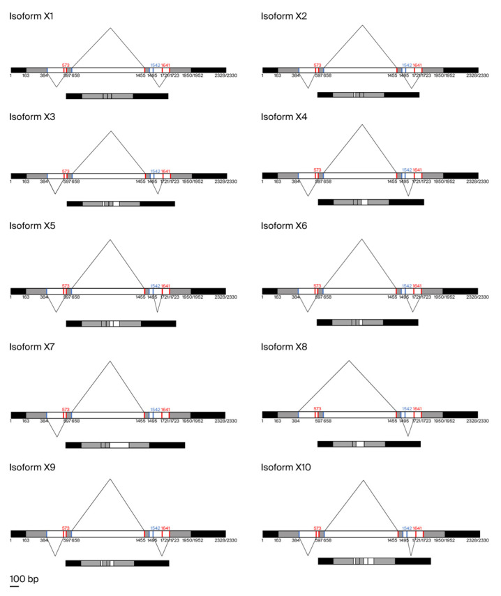 Figure 9