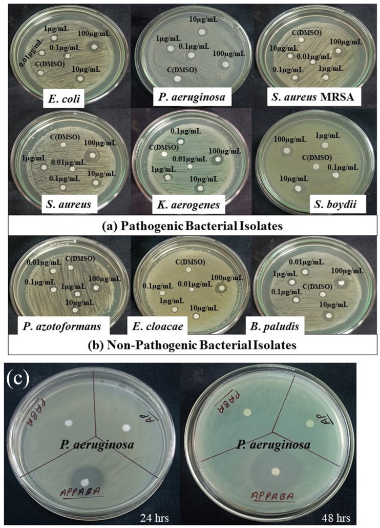 Figure 12