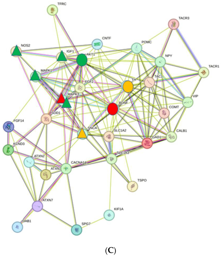 Figure 11