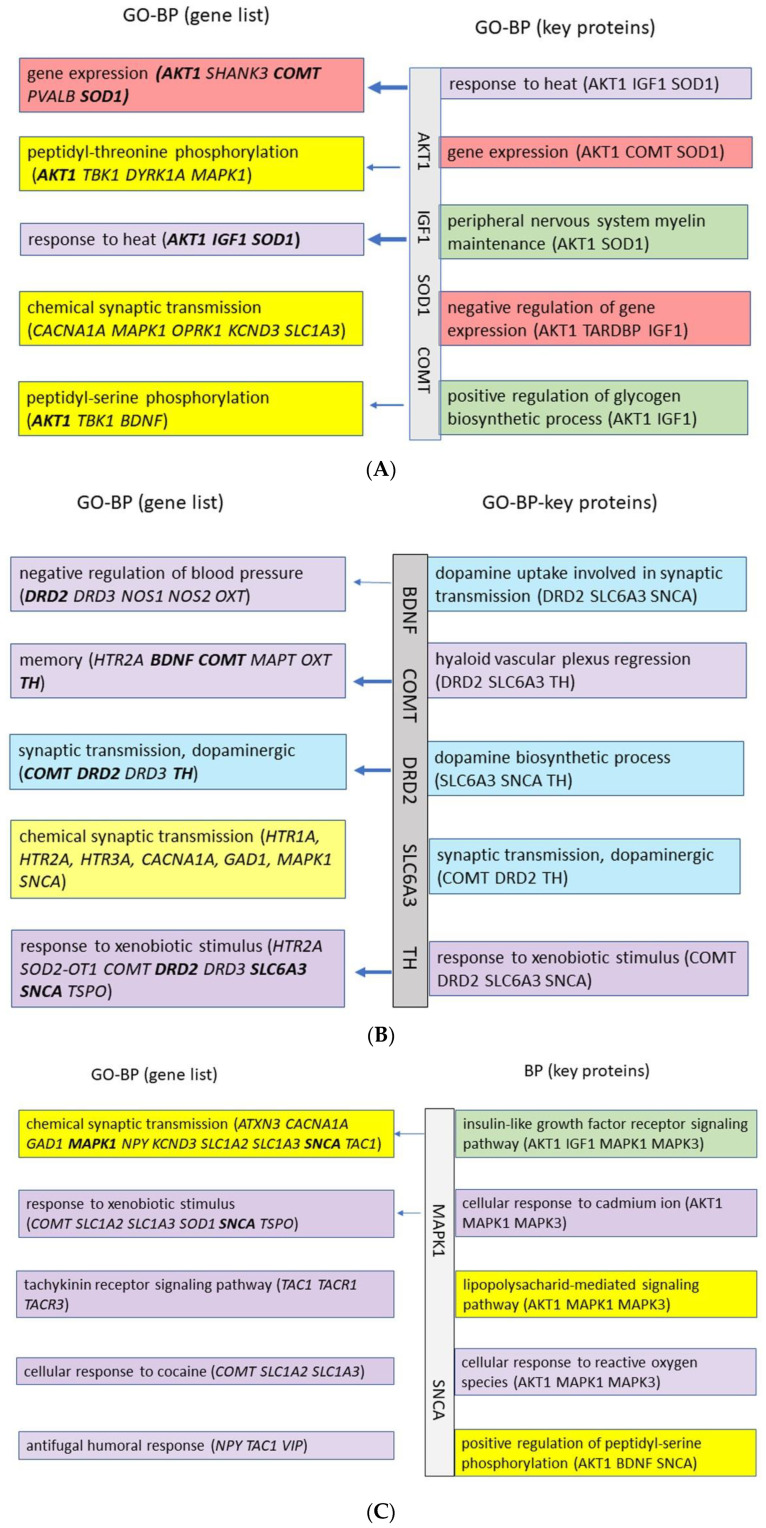 Figure 13
