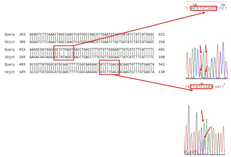 Figure 5