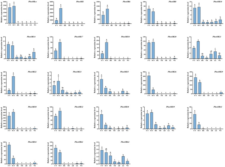 Figure 13