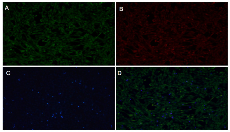 Figure 10