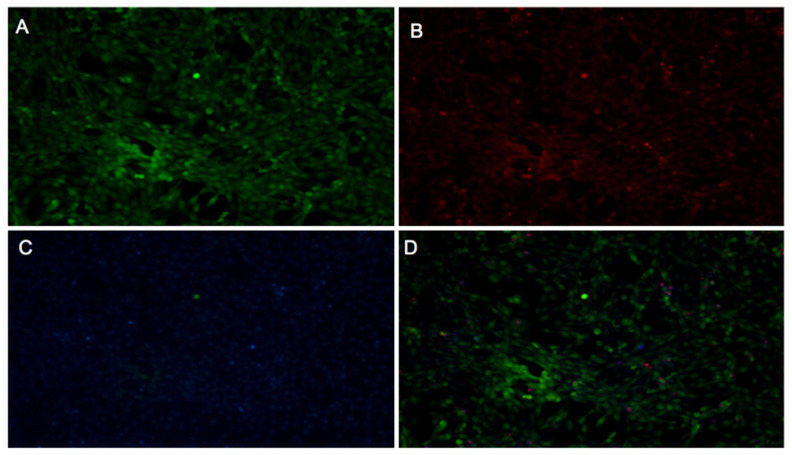 Figure 11