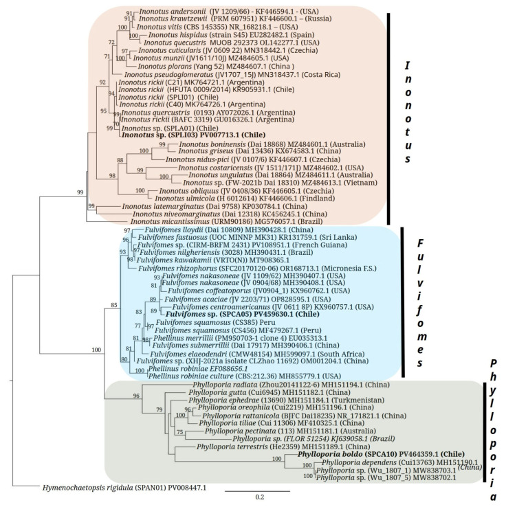 Figure 13