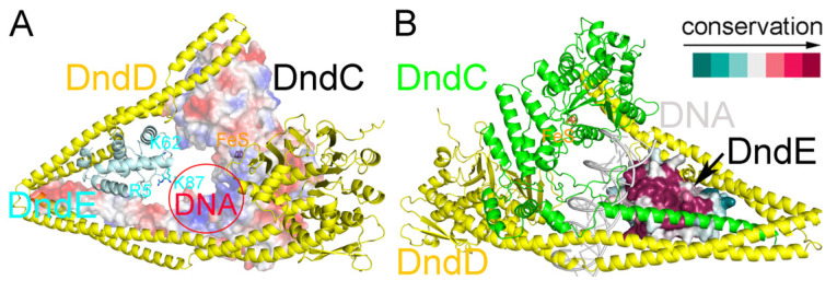 Figure 7