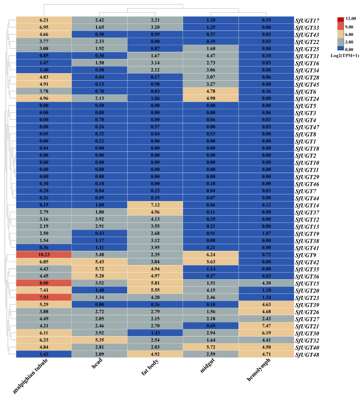 Figure 5