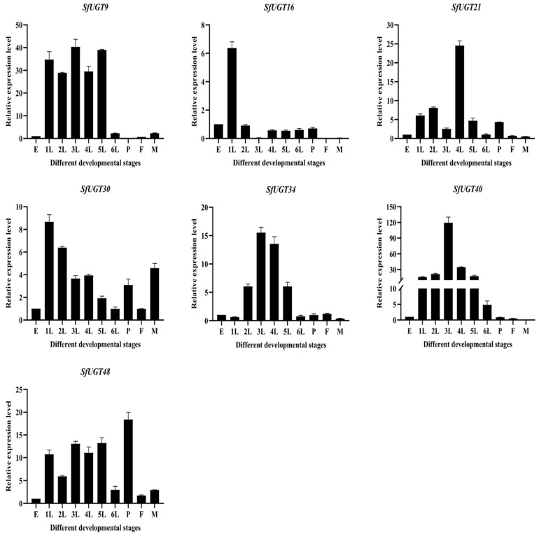 Figure 6