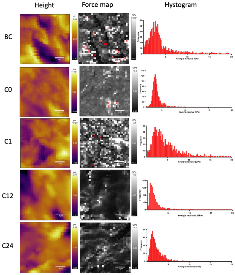 Figure 10