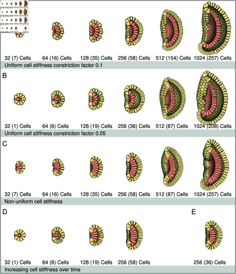 Fig 5