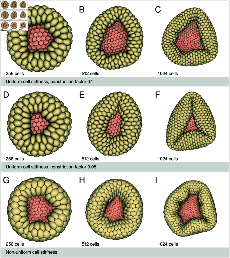 Fig 8