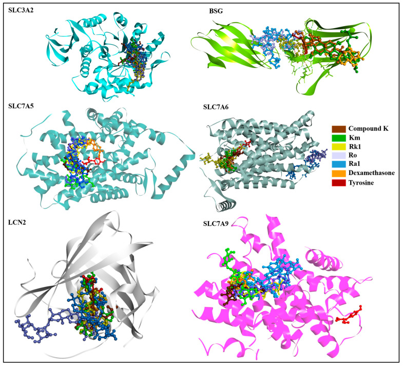 Figure 4