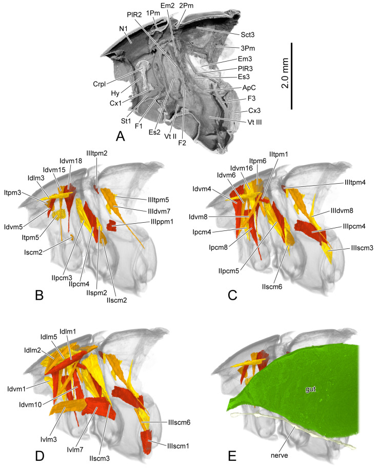 Figure 6