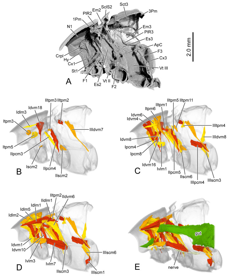 Figure 10