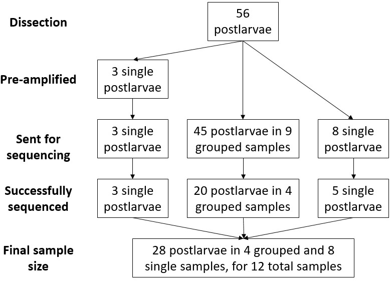 Figure 9