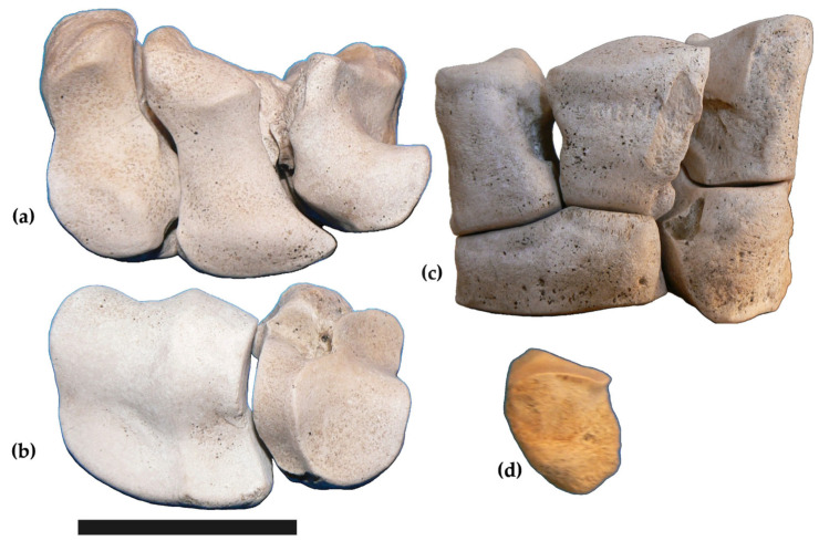 Figure 5