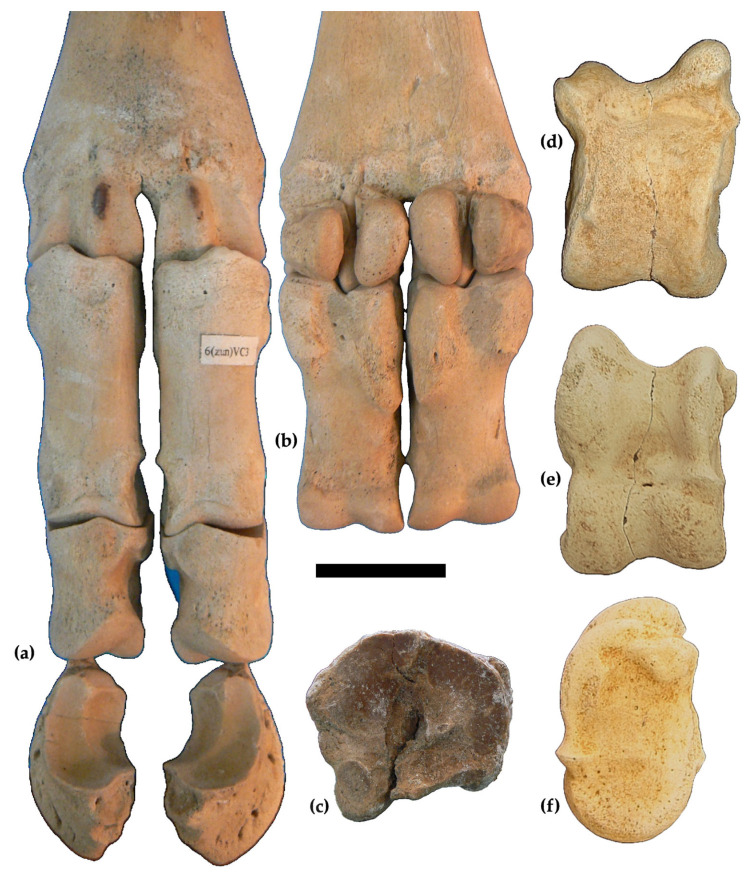 Figure 7