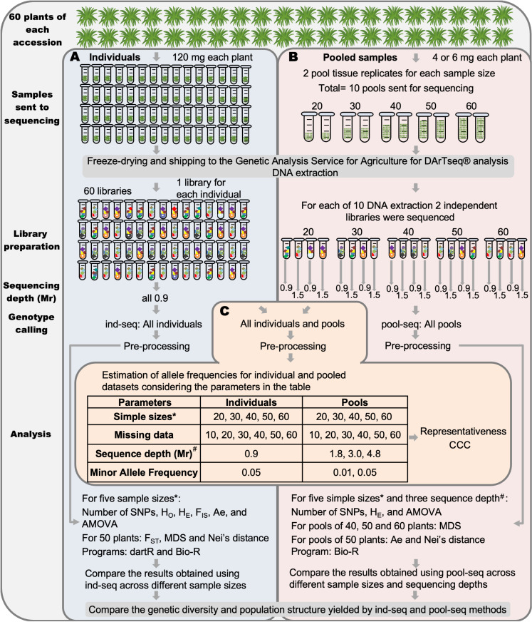Figure 33