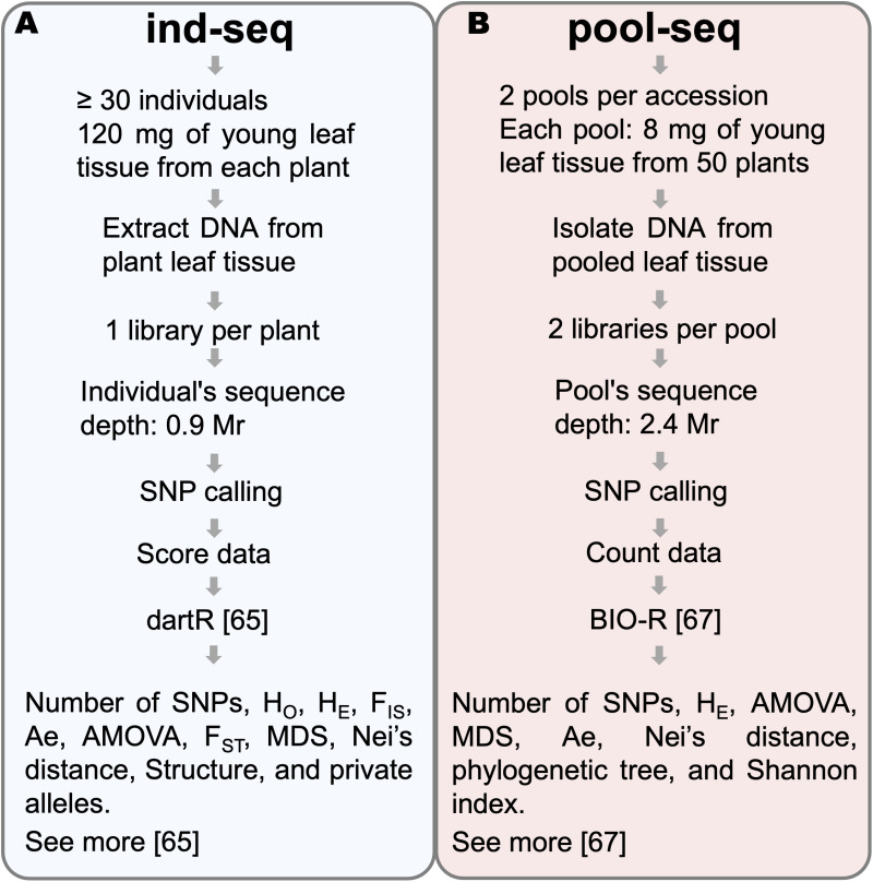 Figure 41