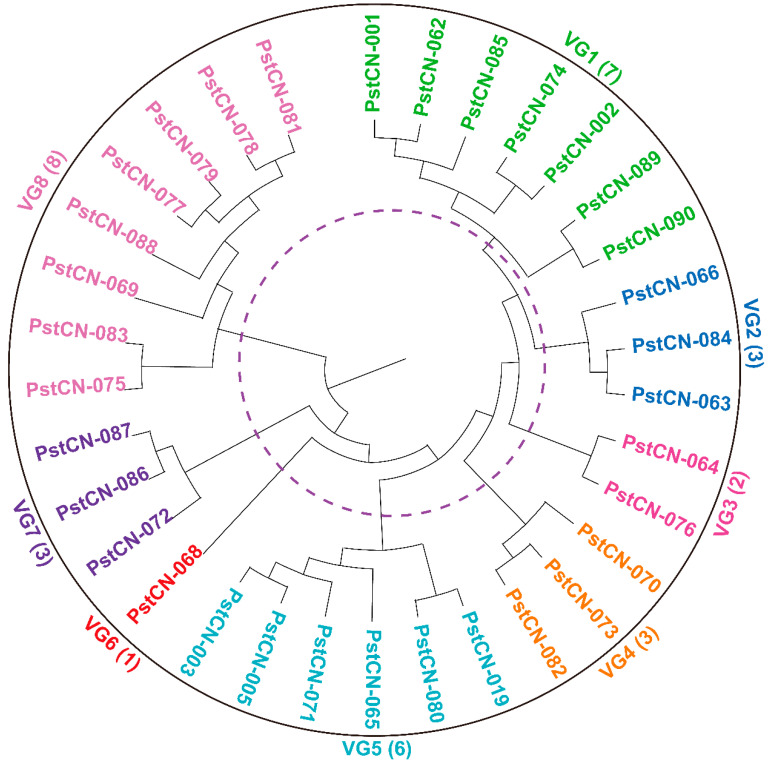 Figure 5