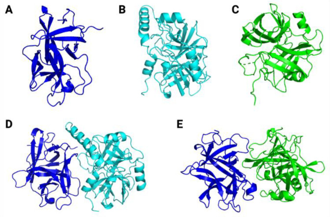 Figure 9