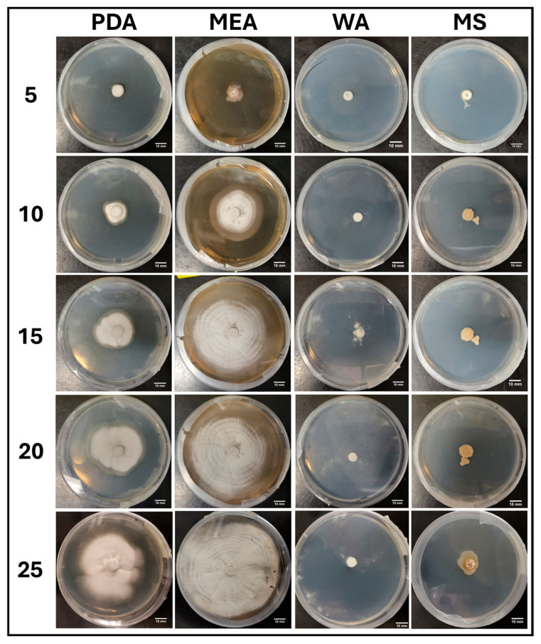 Figure 5