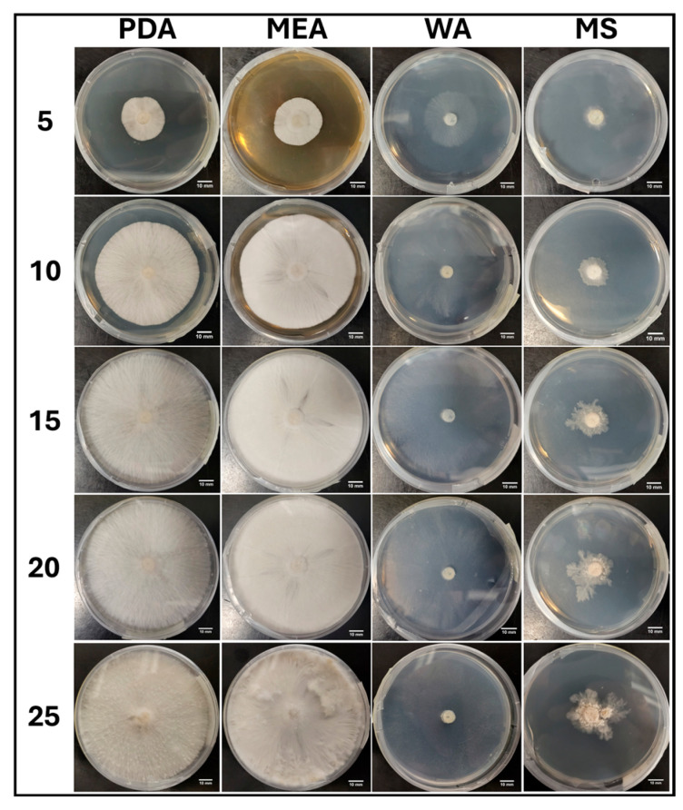 Figure 7