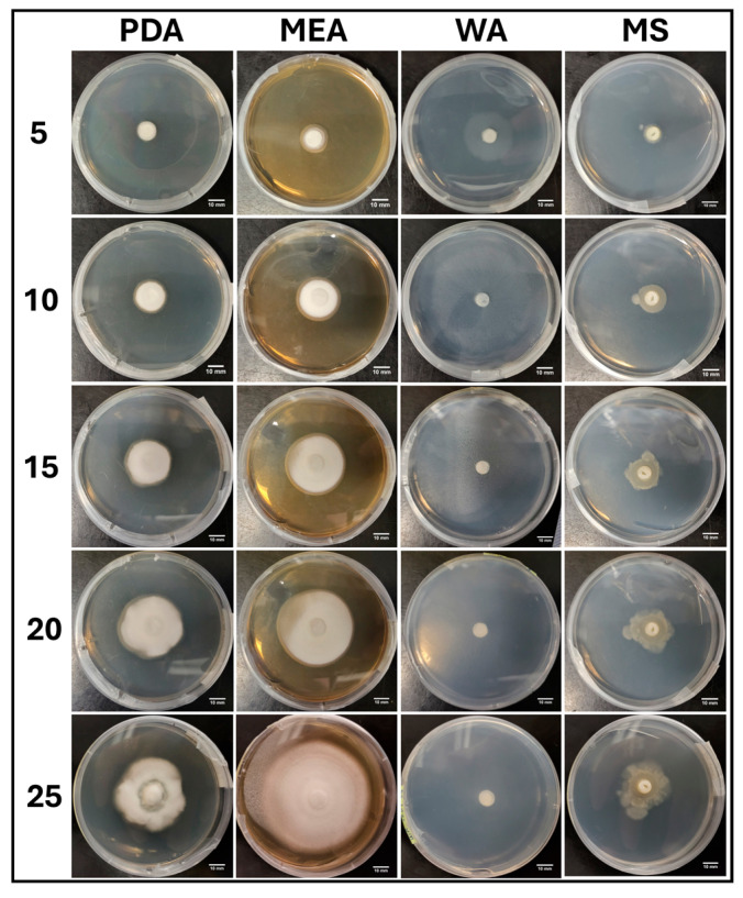 Figure 9