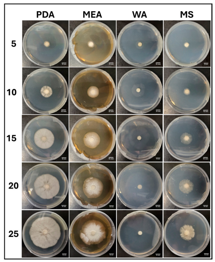 Figure 11