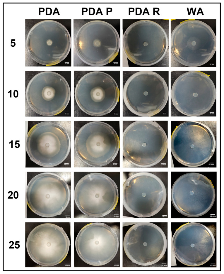 Figure 13