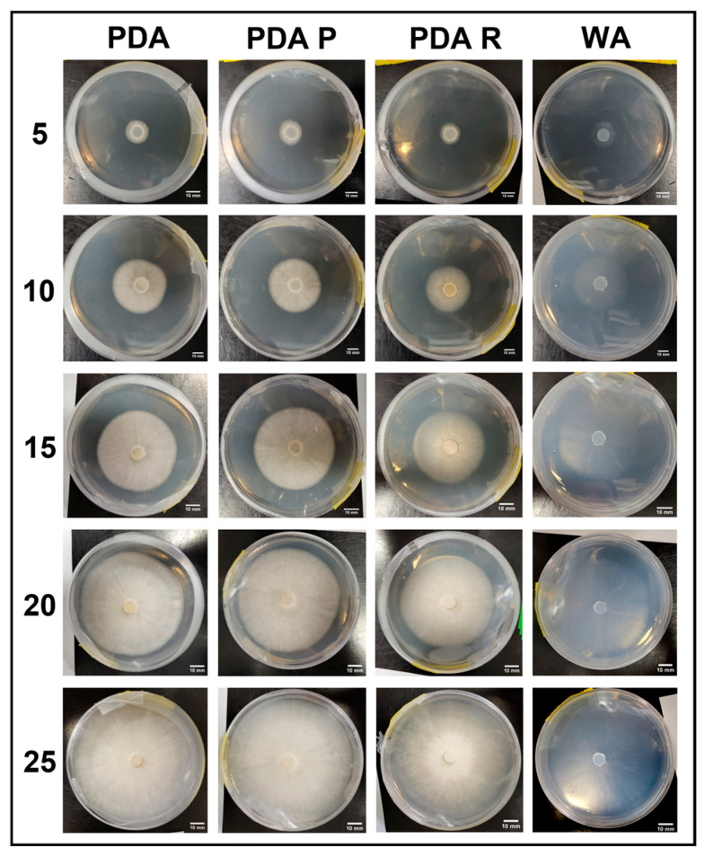 Figure 19