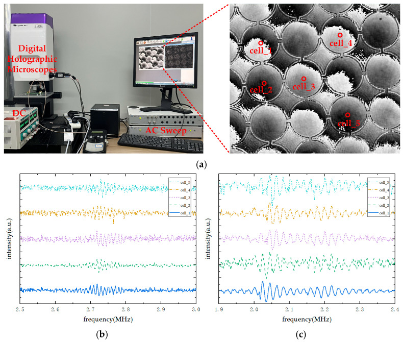 Figure 16