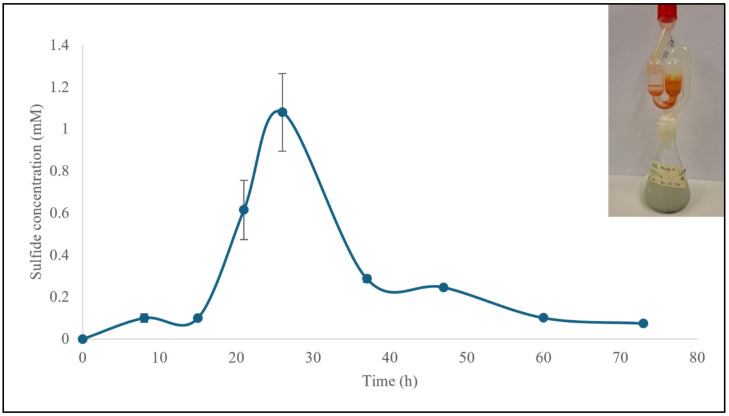 Figure 10
