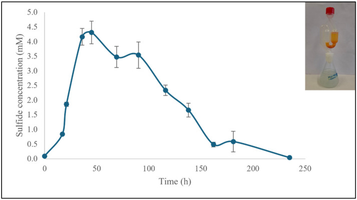 Figure 11