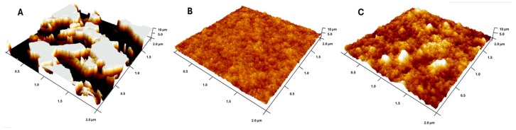Figure 5