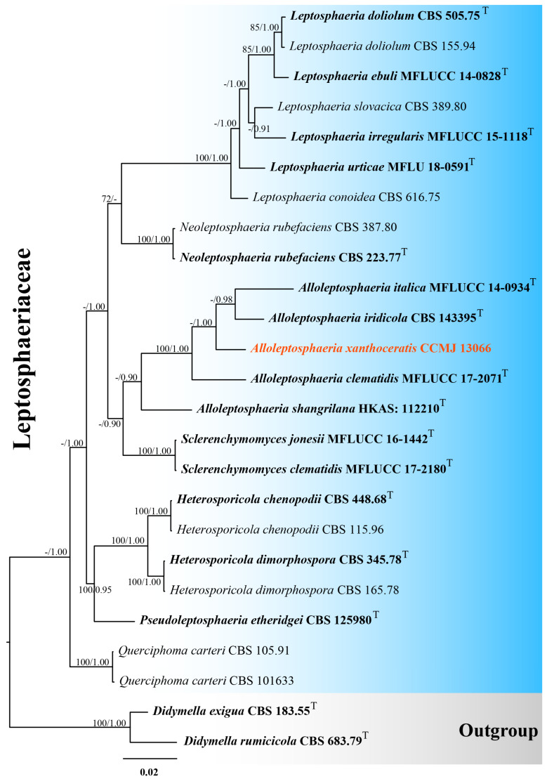 Figure 1