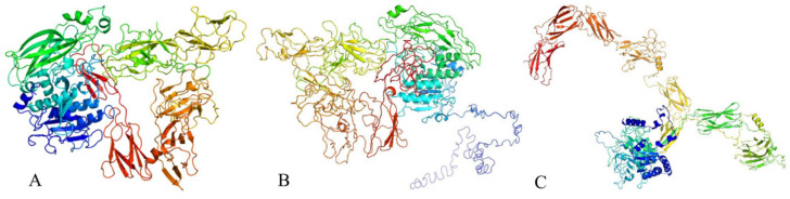Figure 10