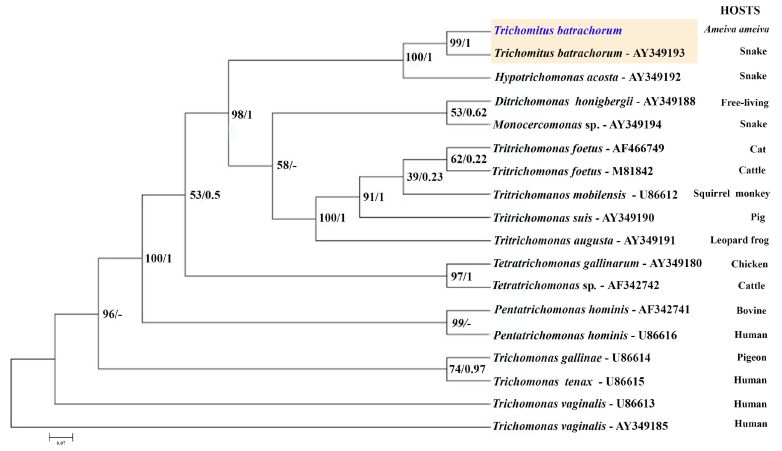 Figure 6