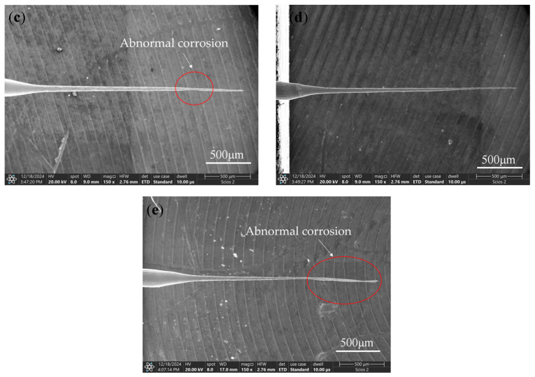 Figure 20