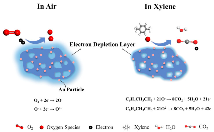 Figure 9