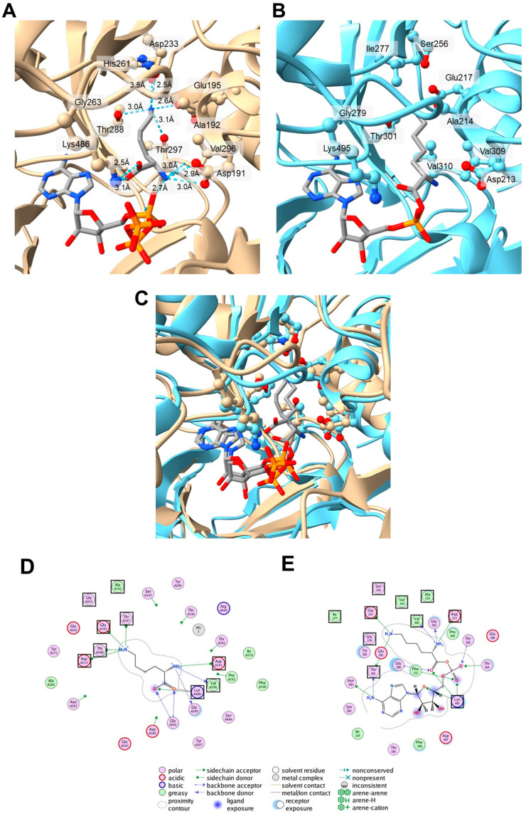 Figure 5