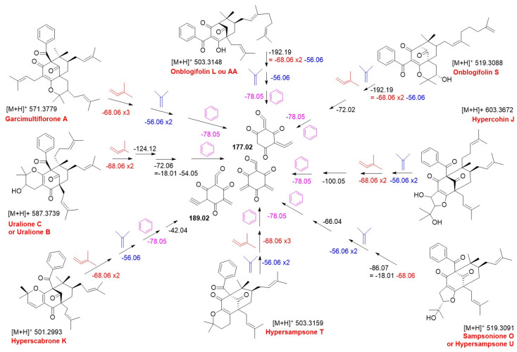 Figure 6