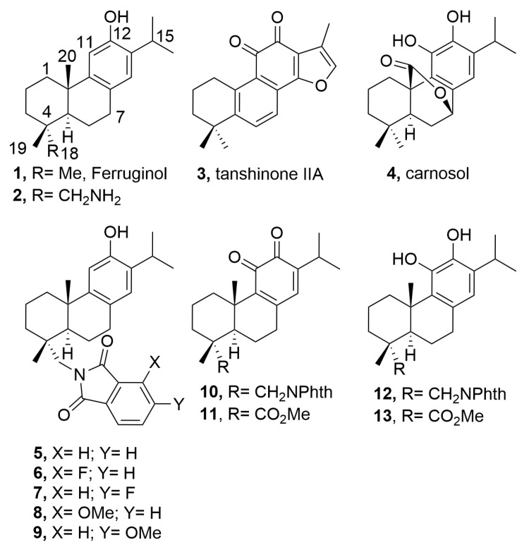 Figure 1
