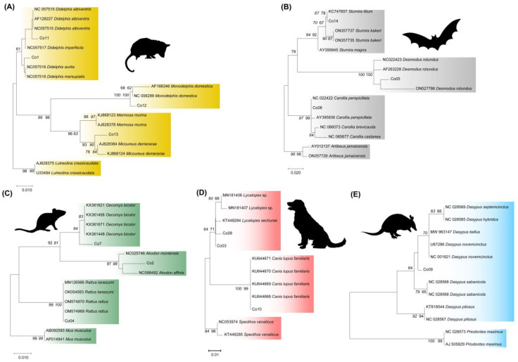 Figure 2