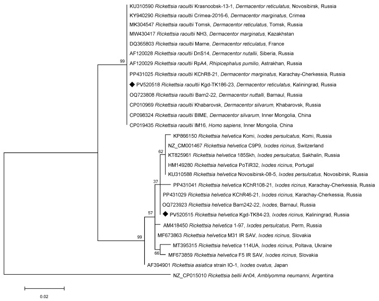 Figure 2
