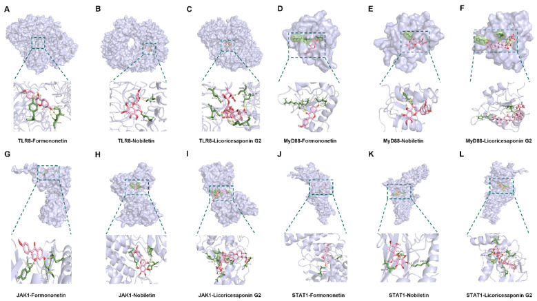 Figure 13