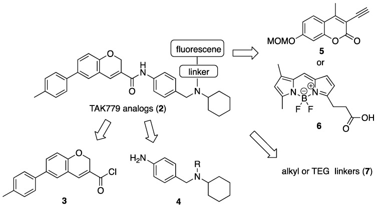 Figure 6
