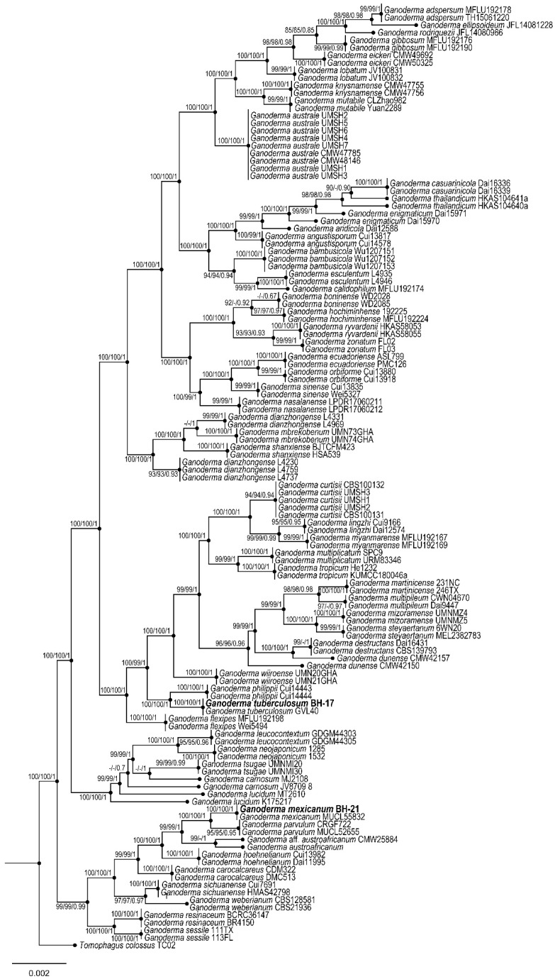 Figure 6